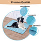 🥳2026 HOT SALE🥳💞50K+ SOLD!🧊🐾 50% OFF! Pet Cooling Ice Silk Mat – Instant chill, no water or electricity. Breathable, washable & lightweight. Keep your dog cool all summer! ☀️💙