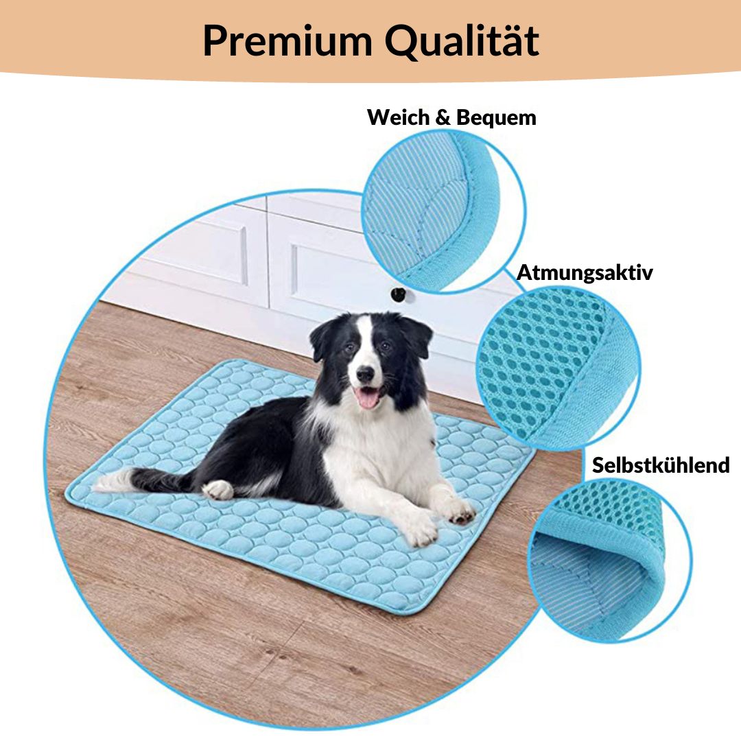 🥳2026 HOT SALE🥳💞50K+ SOLD!🧊🐾 50% OFF! Pet Cooling Ice Silk Mat – Instant chill, no water or electricity. Breathable, washable & lightweight. Keep your dog cool all summer! ☀️💙