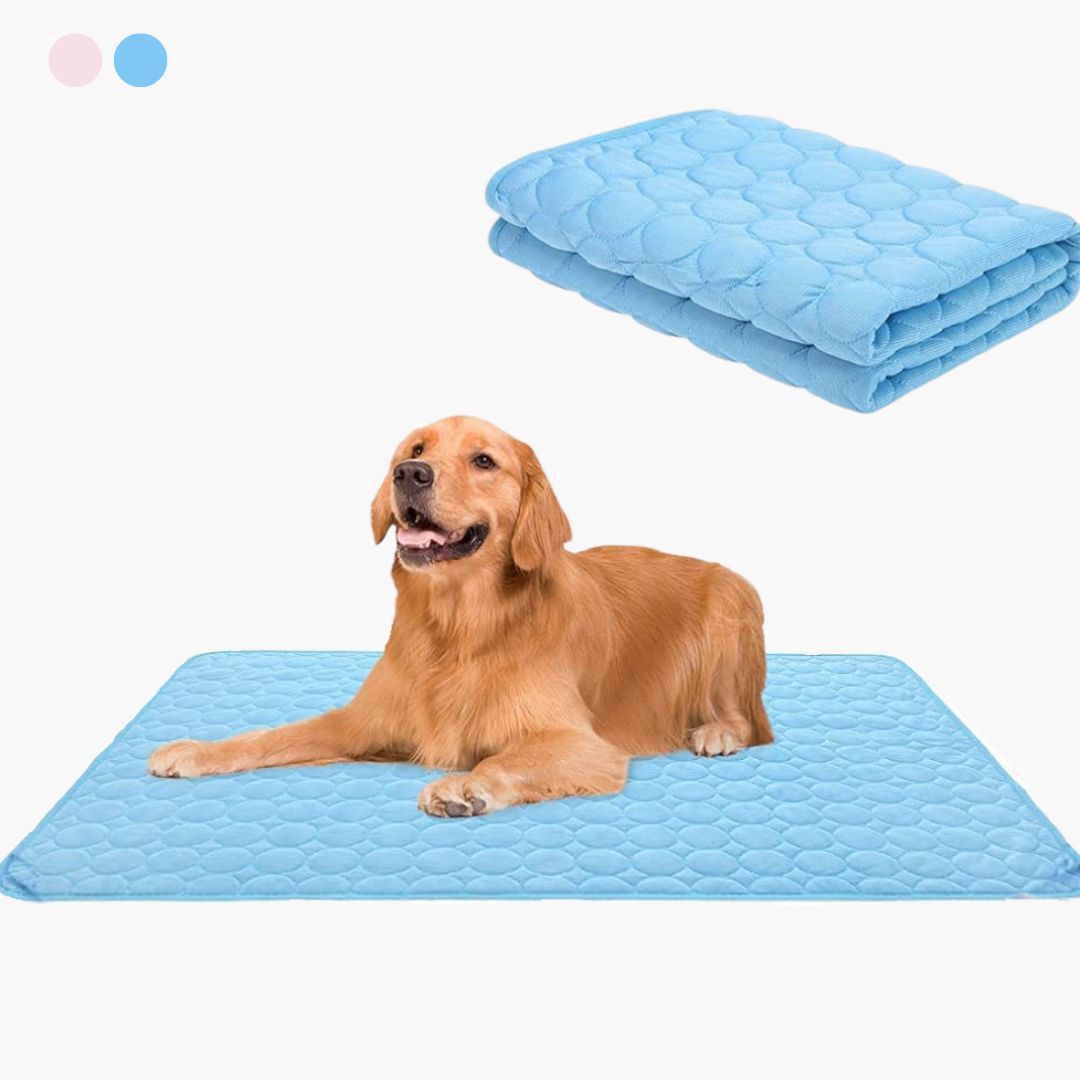 🥳2026 HOT SALE🥳💞50K+ SOLD!🧊🐾 50% OFF! Pet Cooling Ice Silk Mat – Instant chill, no water or electricity. Breathable, washable & lightweight. Keep your dog cool all summer! ☀️💙