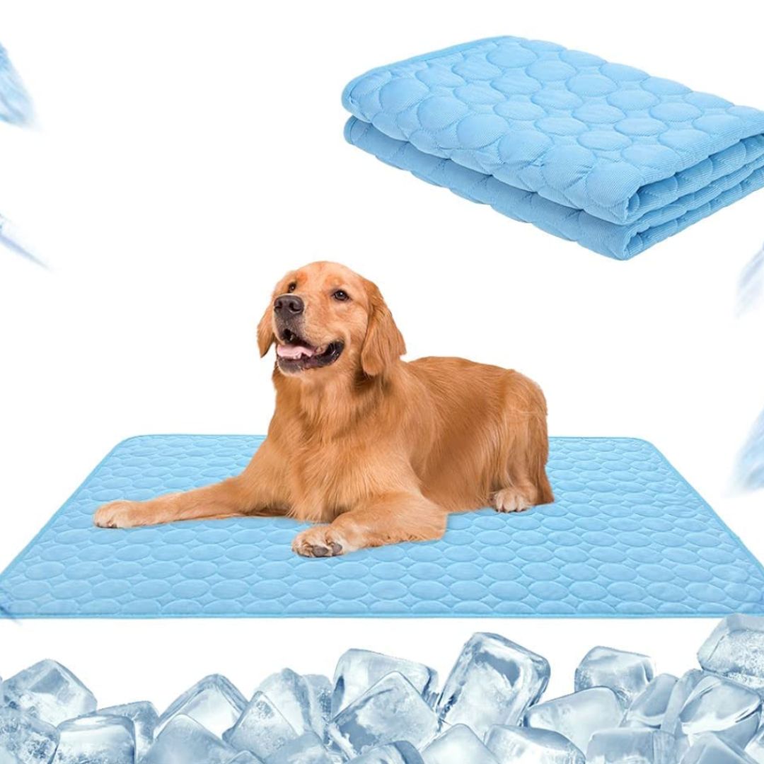 🥳2026 HOT SALE🥳💞50K+ SOLD!🧊🐾 50% OFF! Pet Cooling Ice Silk Mat – Instant chill, no water or electricity. Breathable, washable & lightweight. Keep your dog cool all summer! ☀️💙