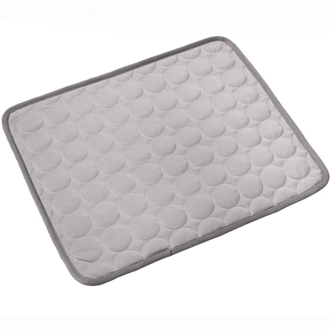 🥳2026 HOT SALE🥳💞50K+ SOLD!🧊🐾 50% OFF! Pet Cooling Ice Silk Mat – Instant chill, no water or electricity. Breathable, washable & lightweight. Keep your dog cool all summer! ☀️💙