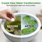 🥳2026 HOT SALE🥳💞50K+ SOLD!💧🌿 50% OFF! Water Purification Tablets – Clears algae & cloudiness, keeps plant water crystal clean. One tablet, instant results! 🌱✨