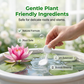 🥳2026 HOT SALE🥳💞50K+ SOLD!💧🌿 50% OFF! Water Purification Tablets – Clears algae & cloudiness, keeps plant water crystal clean. One tablet, instant results! 🌱✨