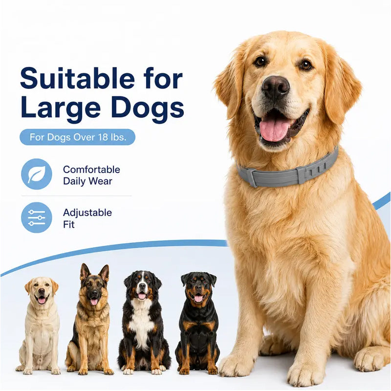 🥳2026 HOT SALE🥳💞50K+ SOLD!🐾🛡️ 50% OFF! Adjustable Flea & Tick Collar – Long‑lasting protection, waterproof & swim‑proof. Soft silicone, safe for pets. Spring & summer sorted! 🌿✨