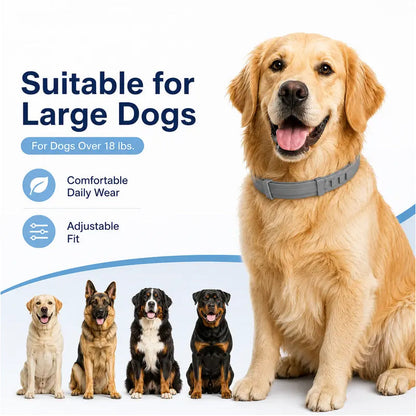 🥳2026 HOT SALE🥳💞50K+ SOLD!🐾🛡️ 50% OFF! Adjustable Flea & Tick Collar – Long‑lasting protection, waterproof & swim‑proof. Soft silicone, safe for pets. Spring & summer sorted! 🌿✨