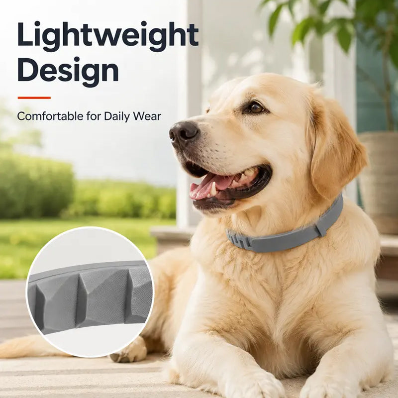 🥳2026 HOT SALE🥳💞50K+ SOLD!🐾🛡️ 50% OFF! Adjustable Flea & Tick Collar – Long‑lasting protection, waterproof & swim‑proof. Soft silicone, safe for pets. Spring & summer sorted! 🌿✨