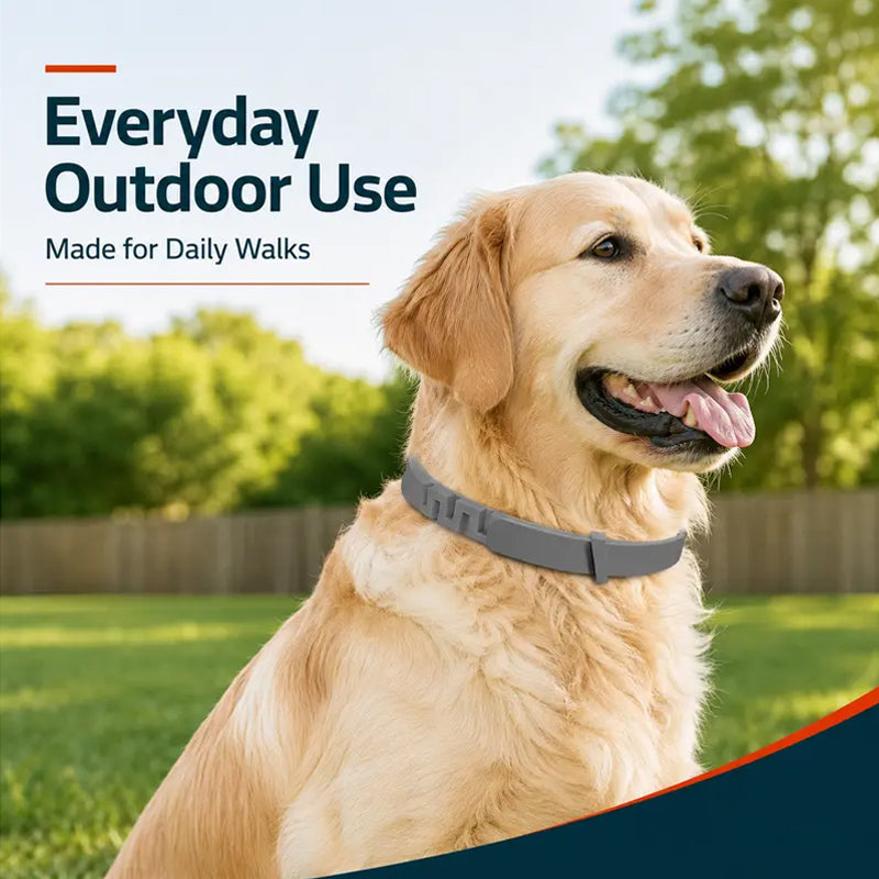 🥳2026 HOT SALE🥳💞50K+ SOLD!🐾🛡️ 50% OFF! Adjustable Flea & Tick Collar – Long‑lasting protection, waterproof & swim‑proof. Soft silicone, safe for pets. Spring & summer sorted! 🌿✨