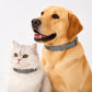 🥳2026 HOT SALE🥳💞50K+ SOLD!🐾🛡️ 50% OFF! Adjustable Flea & Tick Collar – Long‑lasting protection, waterproof & swim‑proof. Soft silicone, safe for pets. Spring & summer sorted! 🌿✨