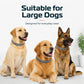 🥳2026 HOT SALE🥳💞50K+ SOLD!🐾🛡️ 50% OFF! Adjustable Flea & Tick Collar – Long‑lasting protection, waterproof & swim‑proof. Soft silicone, safe for pets. Spring & summer sorted! 🌿✨