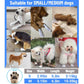 🥳2026 HOT SALE🥳💞50K+ SOLD!🐾💧 50% OFF! Waterproof Disposable Dog Paw Protectors – Keep paws clean, floors spotless. No more muddy prints! 20pcs/pack. 🧼✨