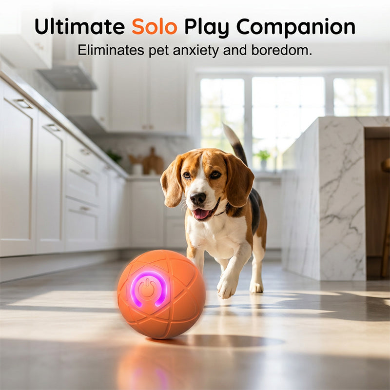 🥳2026 HOT SALE🥳💞50K+ SOLD!🐱🐶 50% OFF! Auto Bouncing Smart Pet Ball – Solo play companion, reduces anxiety & boredom. Durable & safe for small dogs & cats. USB rechargeable! 🐾✨