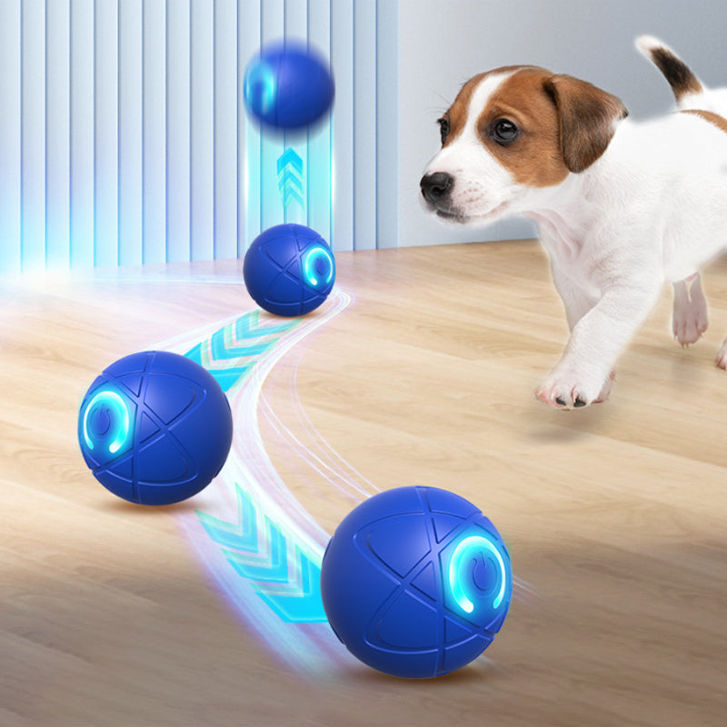 🥳2026 HOT SALE🥳💞50K+ SOLD!🐱🐶 50% OFF! Auto Bouncing Smart Pet Ball – Solo play companion, reduces anxiety & boredom. Durable & safe for small dogs & cats. USB rechargeable! 🐾✨