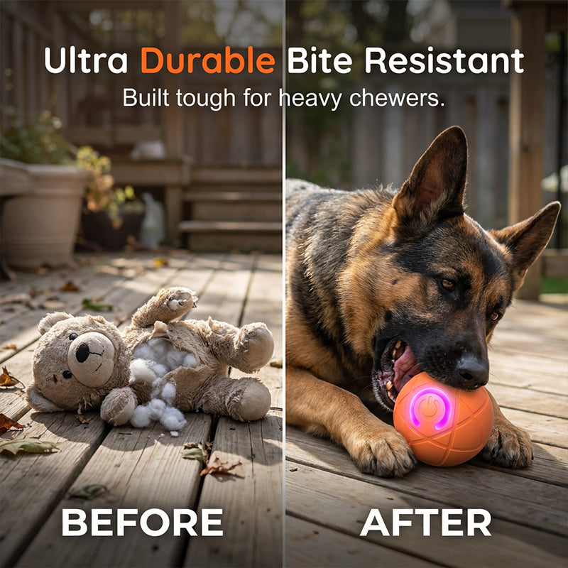 🥳2026 HOT SALE🥳💞50K+ SOLD!🐱🐶 50% OFF! Auto Bouncing Smart Pet Ball – Solo play companion, reduces anxiety & boredom. Durable & safe for small dogs & cats. USB rechargeable! 🐾✨