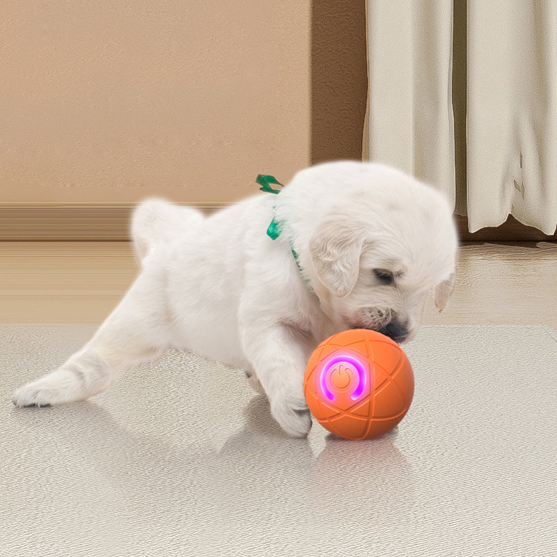 🥳2026 HOT SALE🥳💞50K+ SOLD!🐱🐶 50% OFF! Auto Bouncing Smart Pet Ball – Solo play companion, reduces anxiety & boredom. Durable & safe for small dogs & cats. USB rechargeable! 🐾✨