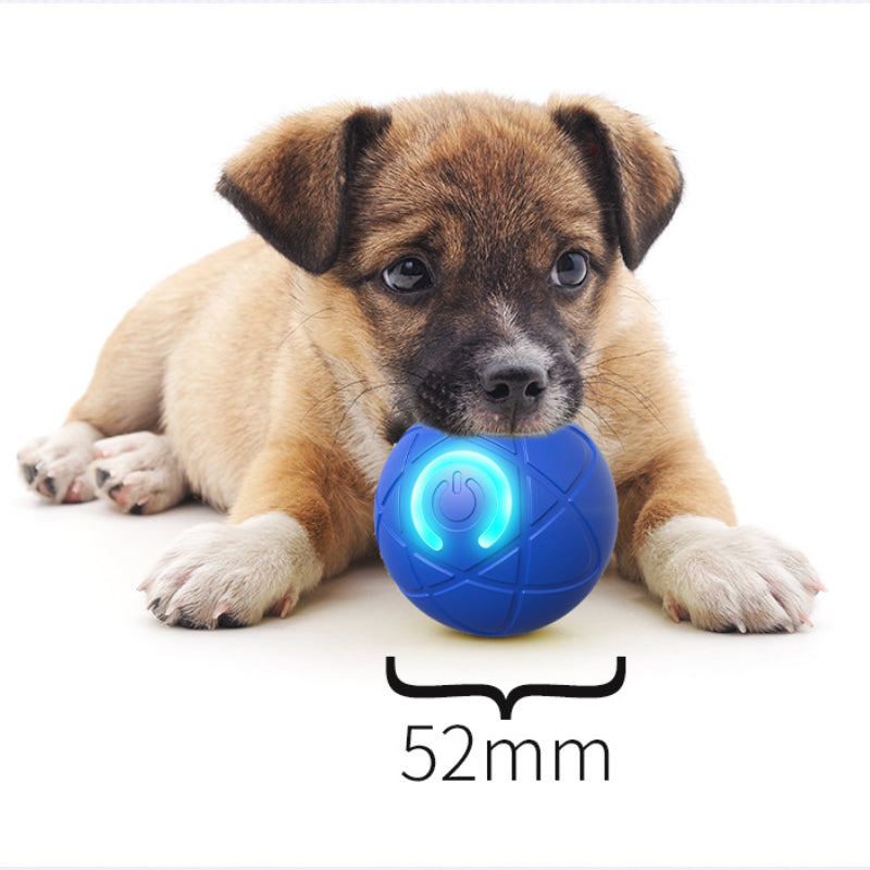 🥳2026 HOT SALE🥳💞50K+ SOLD!🐱🐶 50% OFF! Auto Bouncing Smart Pet Ball – Solo play companion, reduces anxiety & boredom. Durable & safe for small dogs & cats. USB rechargeable! 🐾✨