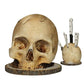 🥳2026 HOT SALE🥳💞50K+ SOLD!💀🔪 50% OFF! Creative Skull Resin Knife Holder – Durable, no installation needed, easy to clean. A bold statement piece for unique kitchens! 🏠✨