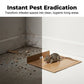 🥳2026 HOT SALE🥳💞50K+ SOLD! 🐭🚫 50% OFF! High‑Viscosity Mouse & Rat Glue – Instant pest eradication, unbreakable stretch tech traps rodents fast. No chemicals – safe for homes with kids & pets! 🛡️🧴