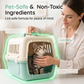 🥳2026 HOT SALE🥳💞50K+ SOLD!🐱🧼 50% OFF! Portable Cat Carrier Cleaner Spray – Fast‑acting, non‑toxic formula. Removes odours & stains instantly. Safe for plastic & fabric! 🛡️✨