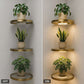 🏆🥳2026 HOT SALE🥳💞50K+ SOLD! 💡🏠 50% OFF! Floating Wall Shelf with Built-in Ambient LED Lighting – Last Day Special £9.99! Warm glow highlights plants & décor. Buy more, save more – a stylish upgrade for any room! ✨🛋️