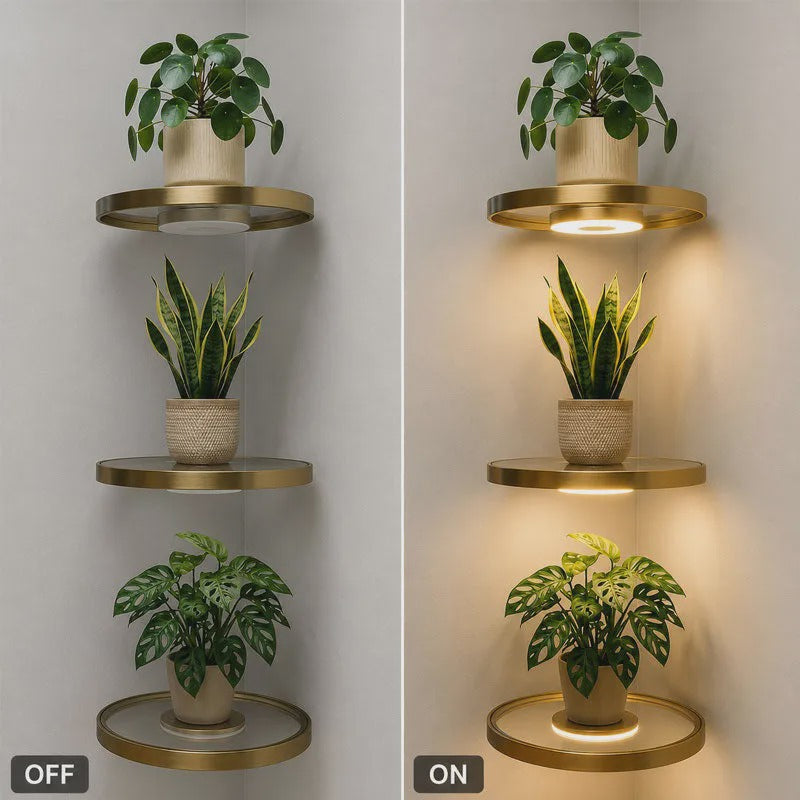 🏆🥳2026 HOT SALE🥳💞50K+ SOLD! 💡🏠 50% OFF! Floating Wall Shelf with Built-in Ambient LED Lighting – Last Day Special £9.99! Warm glow highlights plants & décor. Buy more, save more – a stylish upgrade for any room! ✨🛋️