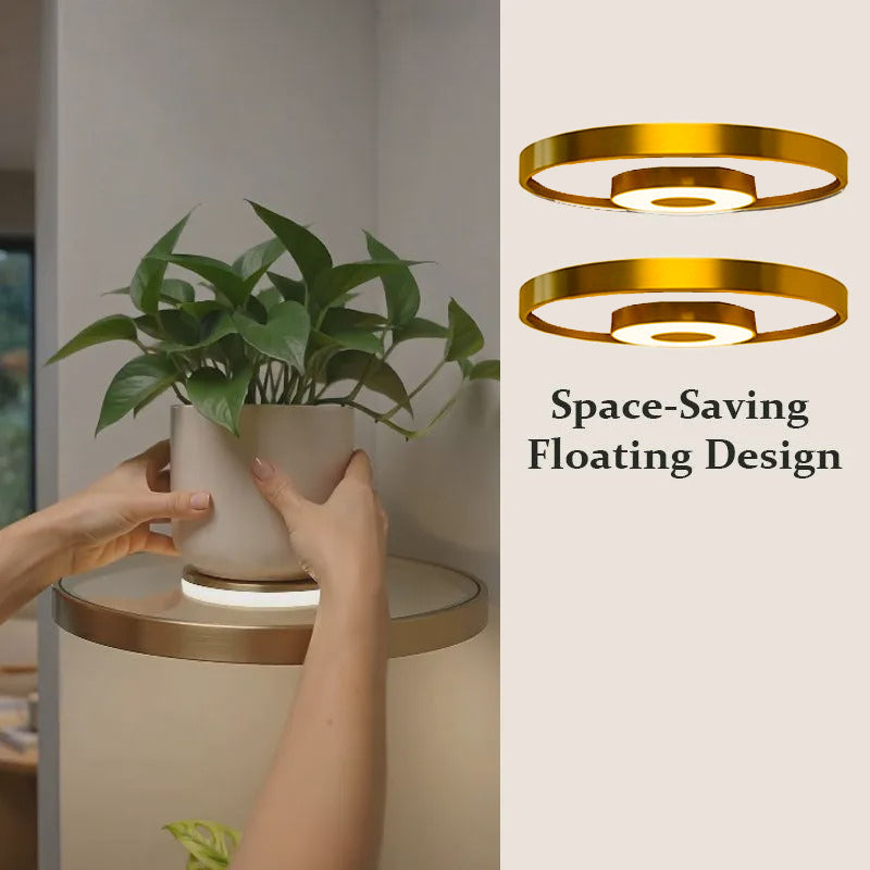 🏆🥳2026 HOT SALE🥳💞50K+ SOLD! 💡🏠 50% OFF! Floating Wall Shelf with Built-in Ambient LED Lighting – Last Day Special £9.99! Warm glow highlights plants & décor. Buy more, save more – a stylish upgrade for any room! ✨🛋️