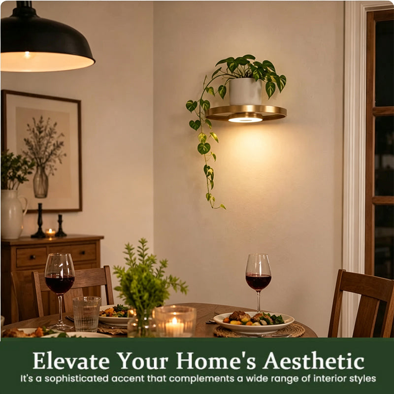 🏆🥳2026 HOT SALE🥳💞50K+ SOLD! 💡🏠 50% OFF! Floating Wall Shelf with Built-in Ambient LED Lighting – Last Day Special £9.99! Warm glow highlights plants & décor. Buy more, save more – a stylish upgrade for any room! ✨🛋️