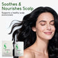 🥳2026 HOT SALE🥳💞50K+ SOLD!🛡️🌟 50% OFF! Anti‑Hair Loss Shampoo – Deeply nourishes scalp, strengthens hair from roots. Natural herbal blend for healthier, stronger hair. Say goodbye to thinning! 🍃💚