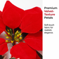 🥳2026 HOT SALE🥳💞50K+ SOLD! 🎄✨ 50% OFF! Light‑Up Poinsettia Christmas Garland – 2m warm LED glow, vivid red blooms & holly leaves. Battery‑powered – no wall socket needed! Perfect for mantels, windows & tables. 🎅🕯️