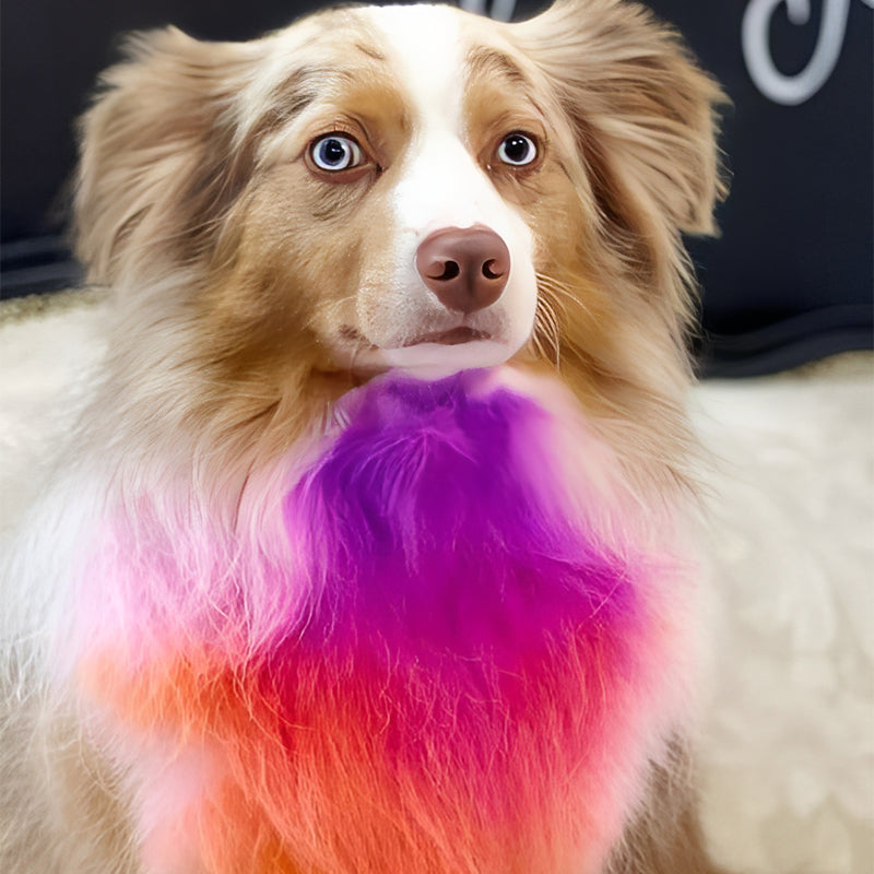 🥳2026 HOT SALE🥳💞50K+ SOLD!🎨🐕 50% OFF! Non‑Toxic Pet Hair Color Dye – Gentle, chemical‑free formula. Creamy & easy to apply – safe for sensitive skin. 10 mins for a vibrant new look! 🌈✨
