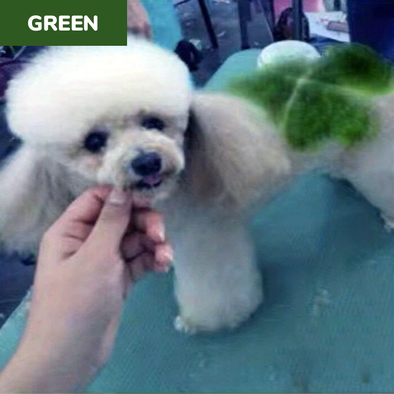 🥳2026 HOT SALE🥳💞50K+ SOLD!🎨🐕 50% OFF! Non‑Toxic Pet Hair Color Dye – Gentle, chemical‑free formula. Creamy & easy to apply – safe for sensitive skin. 10 mins for a vibrant new look! 🌈✨