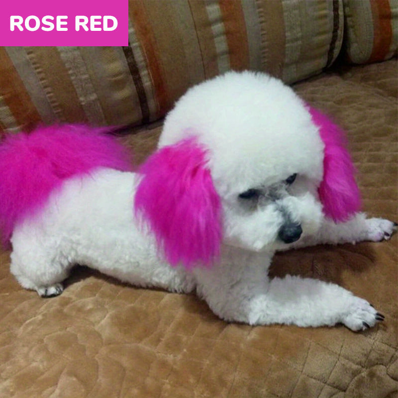 🥳2026 HOT SALE🥳💞50K+ SOLD!🎨🐕 50% OFF! Non‑Toxic Pet Hair Color Dye – Gentle, chemical‑free formula. Creamy & easy to apply – safe for sensitive skin. 10 mins for a vibrant new look! 🌈✨