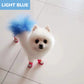 🥳2026 HOT SALE🥳💞50K+ SOLD!🎨🐕 50% OFF! Non‑Toxic Pet Hair Color Dye – Gentle, chemical‑free formula. Creamy & easy to apply – safe for sensitive skin. 10 mins for a vibrant new look! 🌈✨