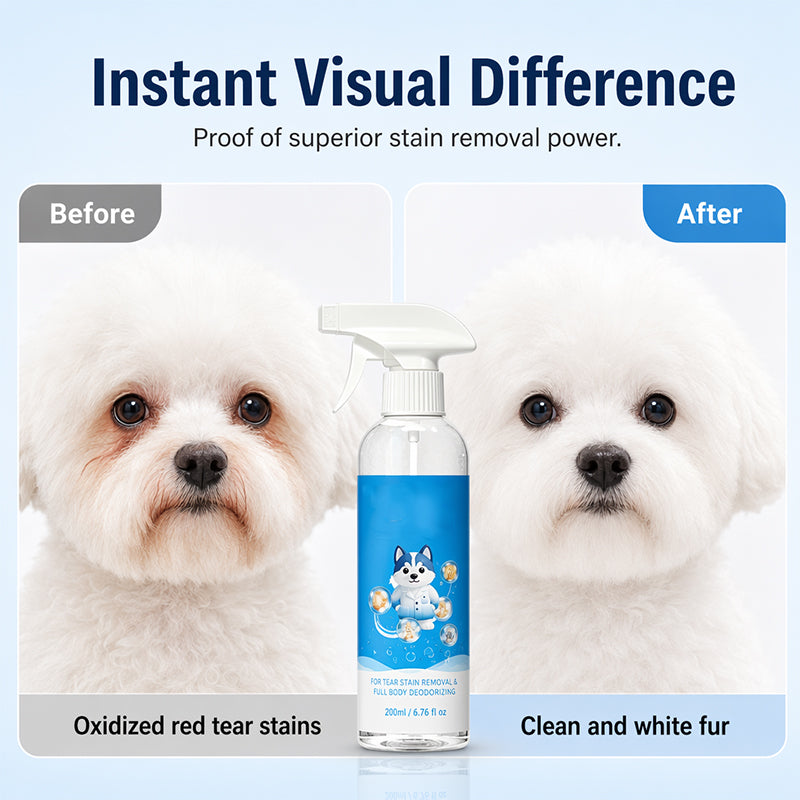 🥳2026 HOT SALE🥳💞50K+ SOLD!🐾🧴 50% OFF! No‑Rinse Pet Cleaning Spray – Ionized water formula removes stains & odours instantly. No water needed – just spray & wipe! 🧼✨