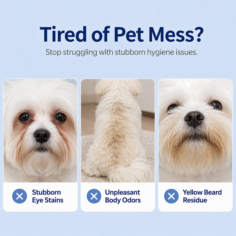 🥳2026 HOT SALE🥳💞50K+ SOLD!🐾🧴 50% OFF! No‑Rinse Pet Cleaning Spray – Ionized water formula removes stains & odours instantly. No water needed – just spray & wipe! 🧼✨