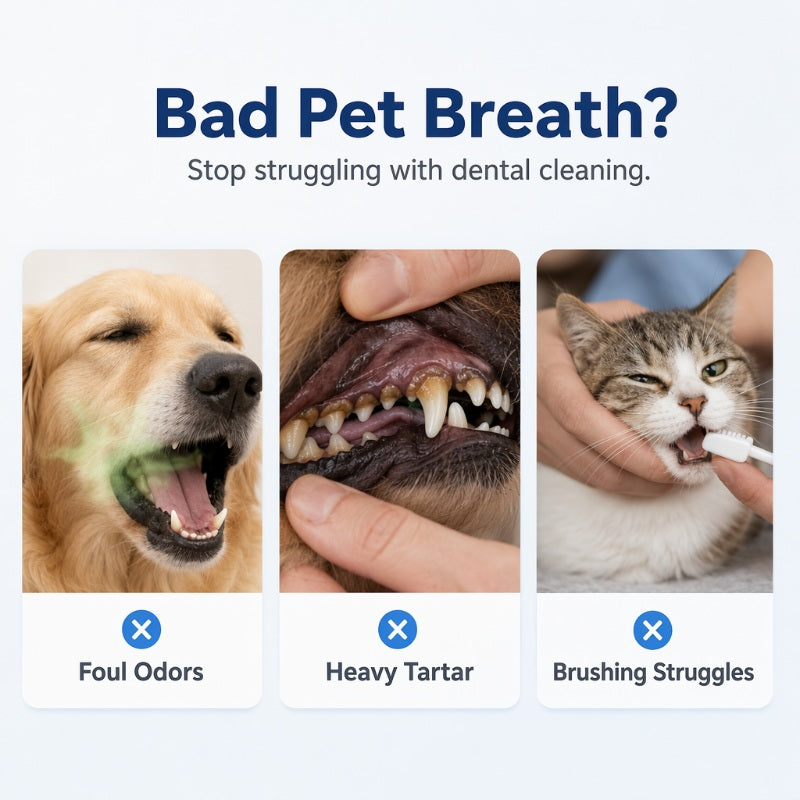 🥳2026 HOT SALE🥳💞50K+ SOLD!🐶🐱 50% OFF! Pet Oral Cleaning Spray – Freshens breath & supports daily oral hygiene. Gentle mist, easy spray – no brushing needed! 🌸🧴