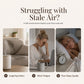 🥳2026 HOT SALE🥳💞50K+ SOLD!🌿🌸 50% OFF! 12‑Pack Water‑Soluble Essential Oils – Rose, lavender, lemon & more. Perfect for diffusers – no clogging, pure mist every time! 🕯️✨