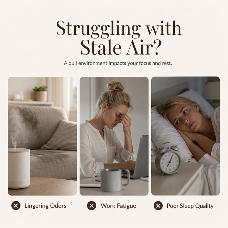 🥳2026 HOT SALE🥳💞50K+ SOLD!🌿🌸 50% OFF! 12‑Pack Water‑Soluble Essential Oils – Rose, lavender, lemon & more. Perfect for diffusers – no clogging, pure mist every time! 🕯️✨