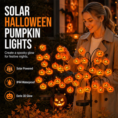🥳2026 HOT SALE🥳💞10K+ SOLD! 🎃☀️ 50% OFF! Pumpkin Solar Lights – 76cm tall, solar powered & weatherproof. Glows warmly after dark – perfect for Halloween garden & pathway décor! 🏡✨
