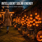 🥳2026 HOT SALE🥳💞10K+ SOLD! 🎃☀️ 50% OFF! Pumpkin Solar Lights – 76cm tall, solar powered & weatherproof. Glows warmly after dark – perfect for Halloween garden & pathway décor! 🏡✨