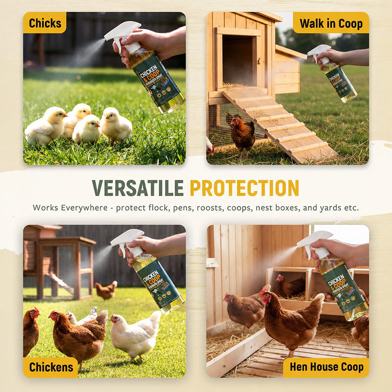 🥳2026 HOT SALE🥳💞50K+ SOLD! ⚡🐔 Natural Coop Spray – lemongrass & peppermint formula repels mites, lice & flies. Neutralises odours fast. Safe for hens & coops! 🌿✅
