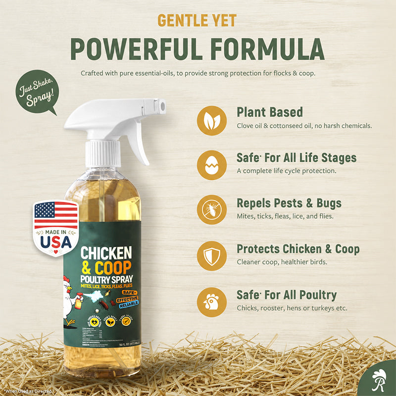🥳2026 HOT SALE🥳💞50K+ SOLD! ⚡🐔 Natural Coop Spray – lemongrass & peppermint formula repels mites, lice & flies. Neutralises odours fast. Safe for hens & coops! 🌿✅