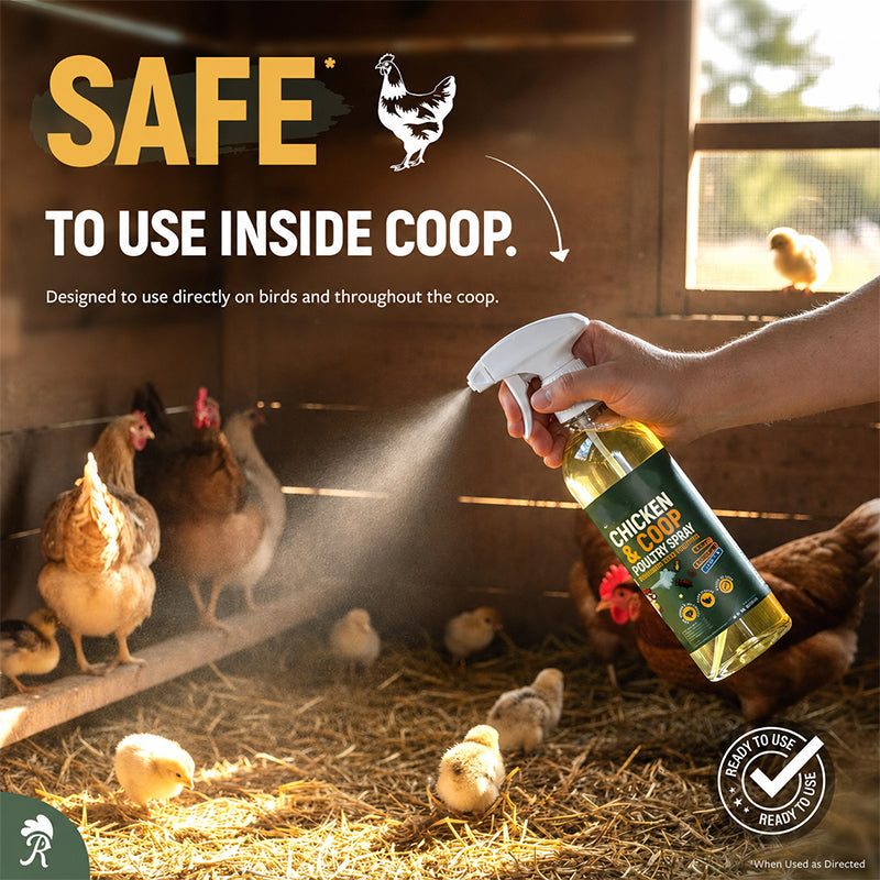 🥳2026 HOT SALE🥳💞50K+ SOLD! ⚡🐔 Natural Coop Spray – lemongrass & peppermint formula repels mites, lice & flies. Neutralises odours fast. Safe for hens & coops! 🌿✅