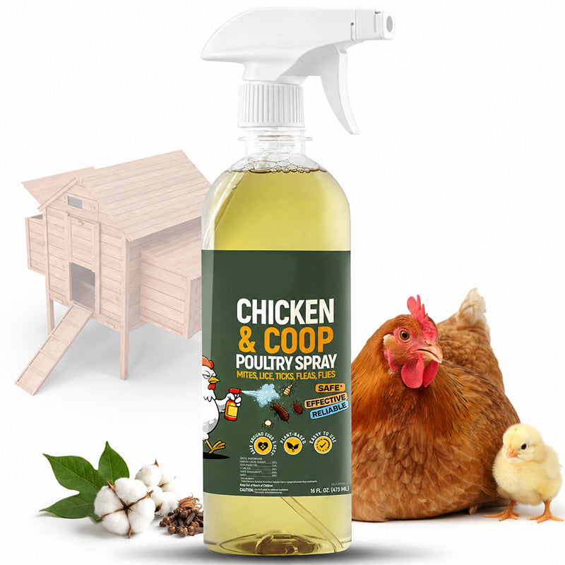 🥳2026 HOT SALE🥳💞50K+ SOLD! ⚡🐔 Natural Coop Spray – lemongrass & peppermint formula repels mites, lice & flies. Neutralises odours fast. Safe for hens & coops! 🌿✅