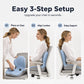 🥳2026 HOT SALE🥳💞50K+ SOLD! 🪑✨ 50% OFF! Ergonomic Memory Foam Seat Cushion – integrated back support relieves lumbar pain. Breathable milk silk for office, car & home comfort! 🛡️✅