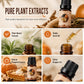 🥳2026 HOT SALE🥳💞50K+ SOLD! 🎃✨ 50% OFF! Halloween Scented Essential Oil Set – 6 festive aromas including Pumpkin Pie & Witch‘s Brew. Pure plant extracts – create spooky party vibes or a cosy seasonal retreat! 🕯️👻