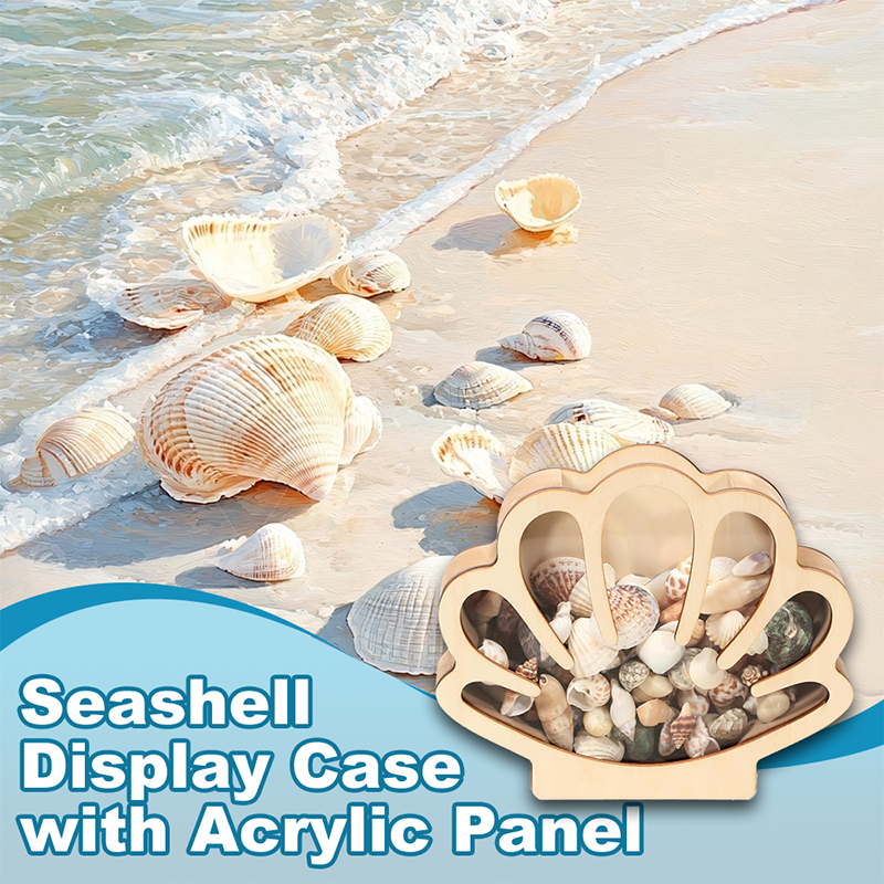 🥳2026 HOT SALE🥳💞50K+ SOLD! 🐚✨ 50% OFF! Seashell Display Case with Acrylic Panel – Ocean-inspired design, wide slot for easy placement. Clear acrylic front protects from dust – perfect for collectors! 🏠💎