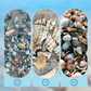 🥳2026 HOT SALE🥳💞50K+ SOLD! 🐚✨ 50% OFF! Seashell Display Case with Acrylic Panel – Ocean-inspired design, wide slot for easy placement. Clear acrylic front protects from dust – perfect for collectors! 🏠💎