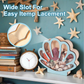 🥳2026 HOT SALE🥳💞50K+ SOLD! 🐚✨ 50% OFF! Seashell Display Case with Acrylic Panel – Ocean-inspired design, wide slot for easy placement. Clear acrylic front protects from dust – perfect for collectors! 🏠💎