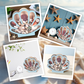 🥳2026 HOT SALE🥳💞50K+ SOLD! 🐚✨ 50% OFF! Seashell Display Case with Acrylic Panel – Ocean-inspired design, wide slot for easy placement. Clear acrylic front protects from dust – perfect for collectors! 🏠💎