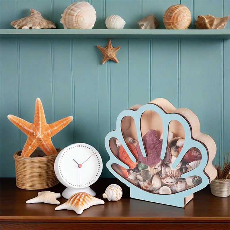 🥳2026 HOT SALE🥳💞50K+ SOLD! 🐚✨ 50% OFF! Seashell Display Case with Acrylic Panel – Ocean-inspired design, wide slot for easy placement. Clear acrylic front protects from dust – perfect for collectors! 🏠💎